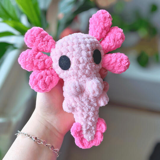 Axolotl 15€
