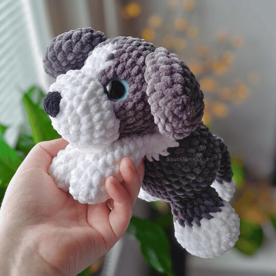 Puppy 35€