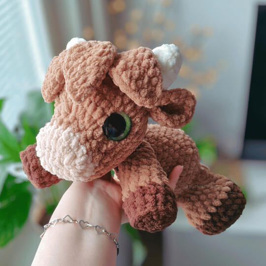 Highland cow 40€